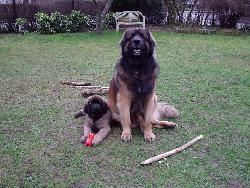 Freunde für immer und ewig