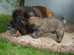 Jetzt wird er auch noch frech