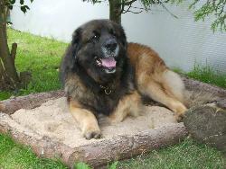 Endlich Ruhe - hier finden die mich nicht