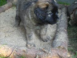 Ich hab's ja gar nicht so gemeint