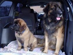 Wir sind ja so sauer aufeinander